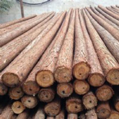 供应1-9米杉木杆木杆植树绿化杉木杆防电杆 绿化杆-阿里巴巴