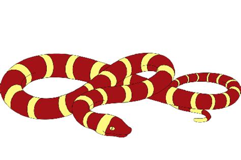 属蛇为什么不能穿红色，有什么说法 -属蛇-生肖网