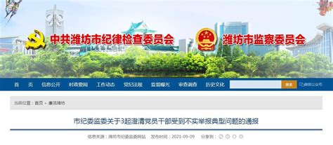 潍坊市纪委监委通报3起澄清党员干部受到不实举报典型问题-半岛网
