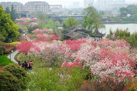 烟花三月下扬州-扬州旅游攻略-游记-去哪儿攻略