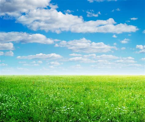 蓝天下的草地与花朵图片免费下载_PNG素材_编号192iwr0gg_图精灵