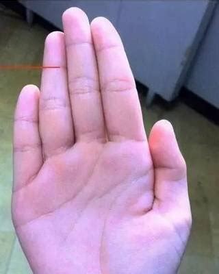 断掌手相图解大全图片
