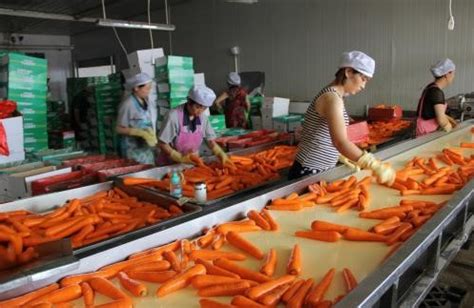正大食品（南通）有限公司今年可实现年产值6.2亿元-如东县人民政府