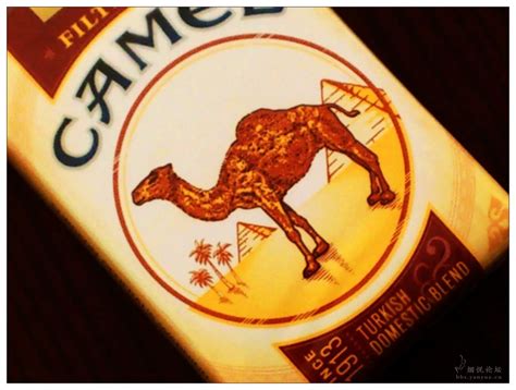 泰国camel是什么牌子香烟 - 业百科