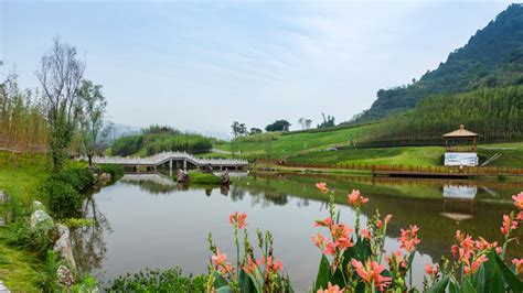 宜宾竹文化生态公园,景观园林,建筑摄影,摄影素材,汇图网www.huitu.com