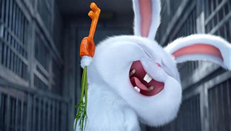 兔子暴力-电影-高清在线观看-hao123影视