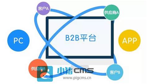 b2b是什么平台？b2b平台特征及类型介绍 - 拼客号