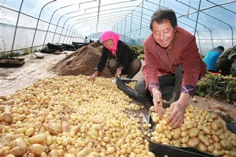 硬核！张北两大产业列省重点支持县域特色产业集群！_澎湃号·政务_澎湃新闻-The Paper