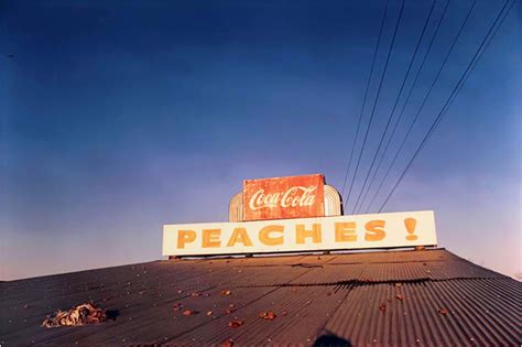William Eggleston Has a New Show at the Metropolitan Museum