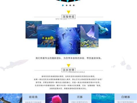 海洋水族馆网站_素材中国sccnn.com