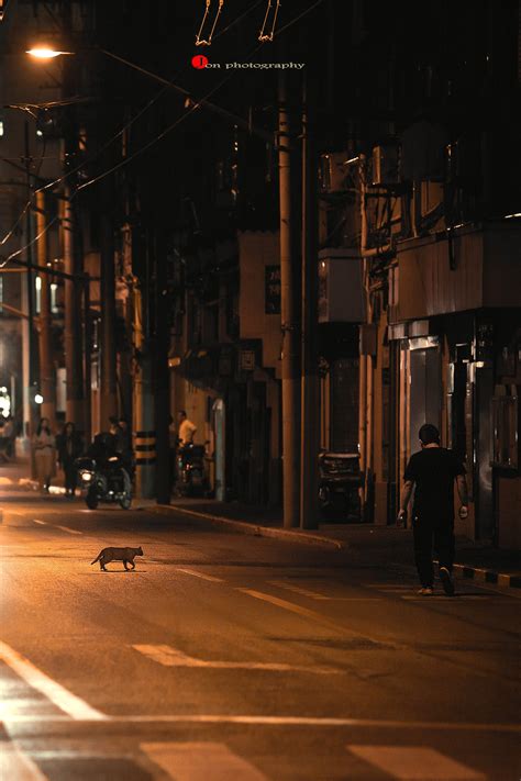 上海街巷|摄影|人文/纪实摄影|张起深 - 原创作品 - 站酷 (ZCOOL)