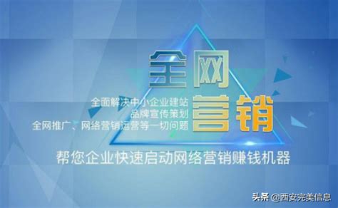 2023-2029年中国网络精准营销行业市场全景调查及未来发展潜力报告_智研咨询