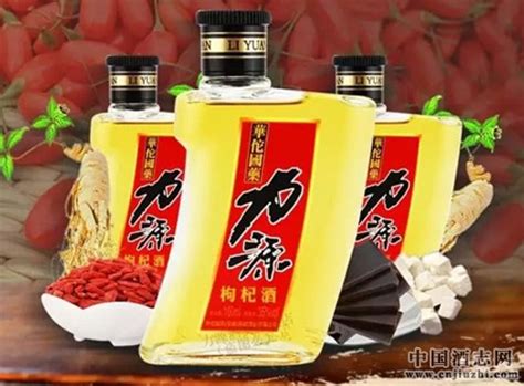 创意酒文化中国白酒文化介绍ppt模板-PPT鱼模板网