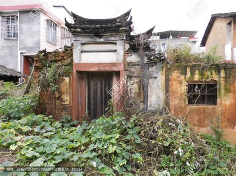 中国最“神秘”的无人村，荒废20年，整个村子被树根无情“侵占”|开平|村子|村落_新浪新闻
