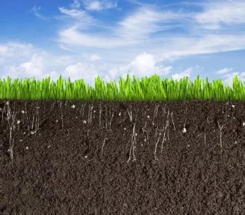 大面积土壤消毒的最好方法-百度经验