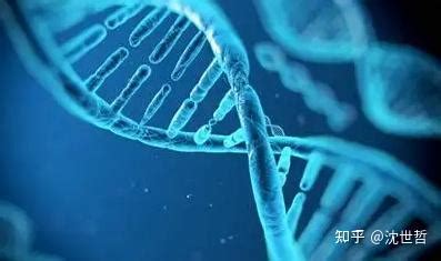 基因检测具体流程是什么？基因检测怎么做-恒鉴网