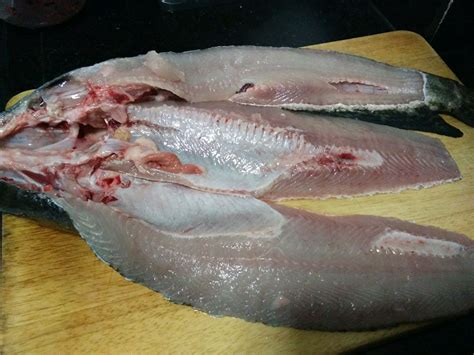 鱼刺最多的鱼排行,鱼刺多少排名,有很多细刺的海鱼_大山谷图库