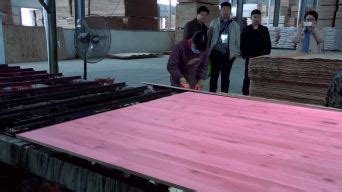 木材加工厂的桦木原工行业高清图片下载-正版图片505313872-摄图网