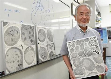 日本分子细胞生物学家大隅良典独得诺贝尔医学奖 细胞自噬机制先驱 - 神秘的地球 科学|自然|地理|探索