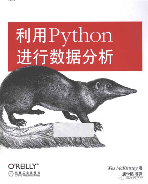 python数据分析实战pdf电子书下载-码农书籍网