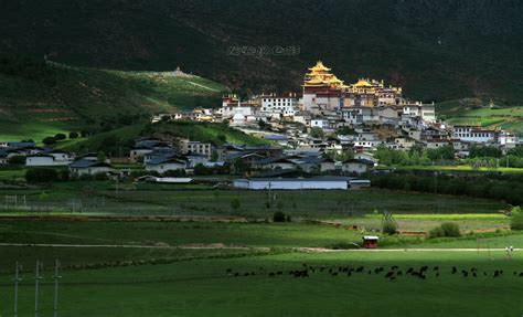 香格里拉的松赞林寺图片