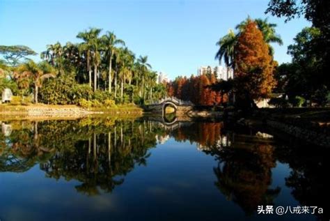 2019天河公园-旅游攻略-门票-地址-问答-游记点评，广州旅游旅游景点推荐-去哪儿攻略
