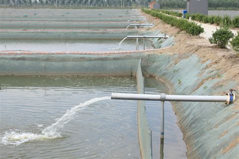 逐点分析！我国水产养殖业存在的主要问题及未来发展趋势_产品