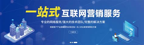 天津网络推广公司-天津全网推广-诺亚科技网络营销