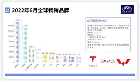 2020年中国新能源汽车行业研究报告_澎湃新闻-The Paper