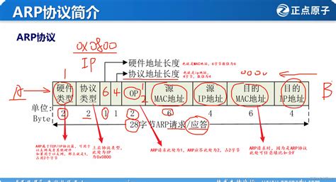 【科普】以太网技术简介_10gbaser4是什么-CSDN博客