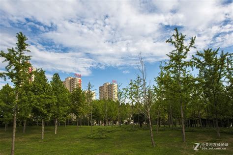 山西临汾汾河公园-西湾设计-公园案例-筑龙园林景观论坛