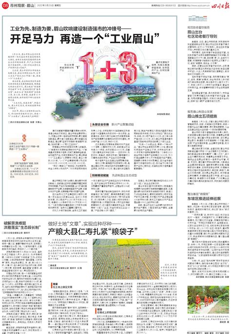 眉山推出五项措施---四川日报电子版