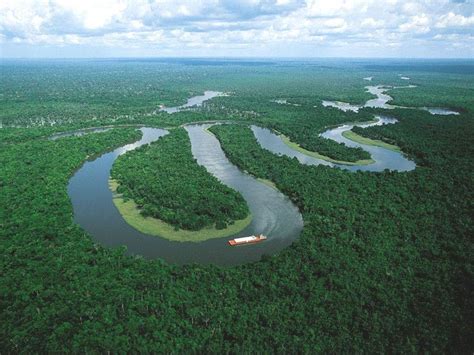 亚马逊热带雨林-亚马逊热带雨林 - 早旭阅读