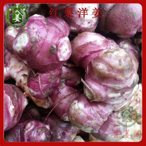 姜芋图片