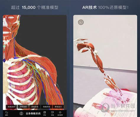3Dbody解剖官方电脑版_华军纯净下载