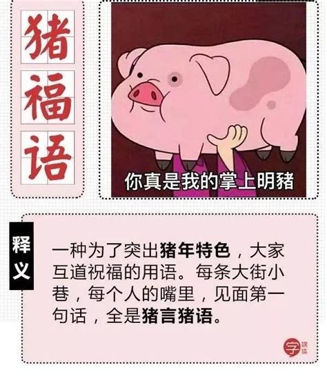 猪年的你会说“猪福语”吗 - MBAChina网