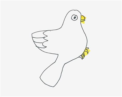 洁白又聪明的小鸽子简笔画绘制教程 简单又好看的鸽子简笔画怎么画-露西学画画