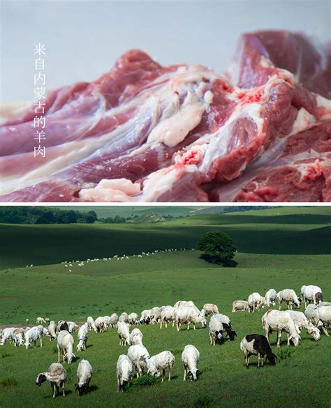 食客：内蒙羊肉甲天下？8大内蒙古地理标识羊肉大盘点，年货囤羊肉必看_牛羊肉_什么值得买