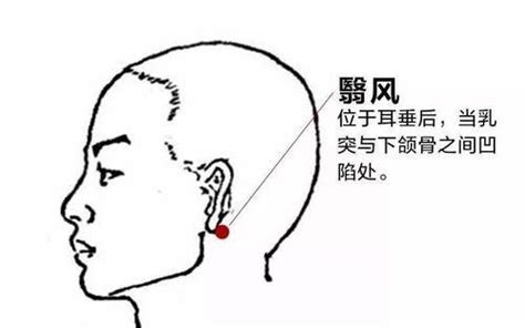 翳风穴位图图片