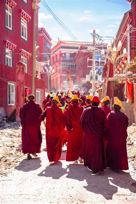 走进神秘的藏地寺庙，揭秘藏地喇嘛的真实一生！-新闻频道-和讯网