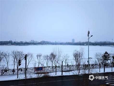 北京下雪你看见了吗？多地飘雪地面见白-图片频道