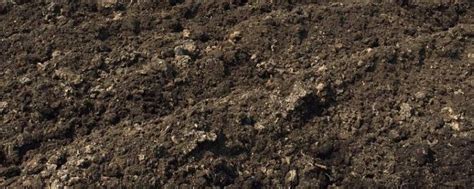 风化土是什么土壤 风化土的解释_知秀网