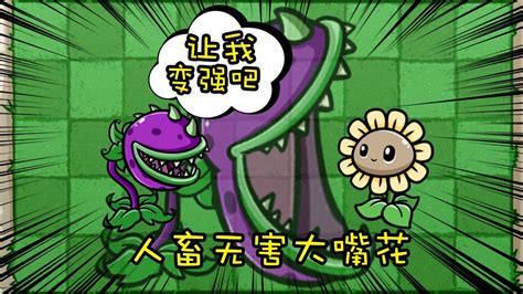 大嘴花图片