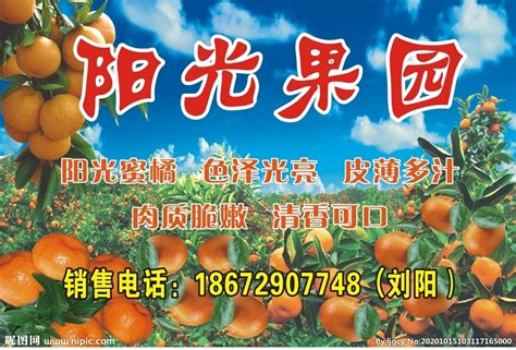 宣威：“四季果园” 让乡村振兴“尝到甜头” - 县区动态 - 曲靖市人民政府门户网