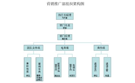 组织架构_营销策划顾问企业-深圳采纳