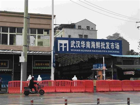 图集丨探访武汉不明原因肺炎始发海鲜批发市场 | 每经网
