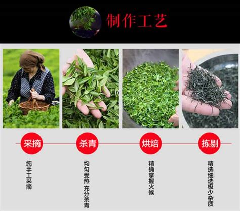 名优绿茶一般都具有哪四个特点,绿茶的种类主分为四类 - 茶叶百科