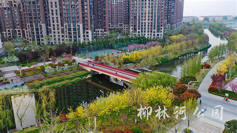 城事 | 柳林公园、跨海河桥要来了！天津“设计之都”建设进展披露_手机新浪网