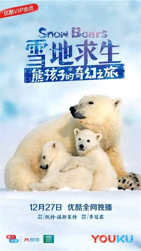 纪录片《雪地求生》上线 讲述北极熊迁徙故事 _烟台文化网_胶东在线