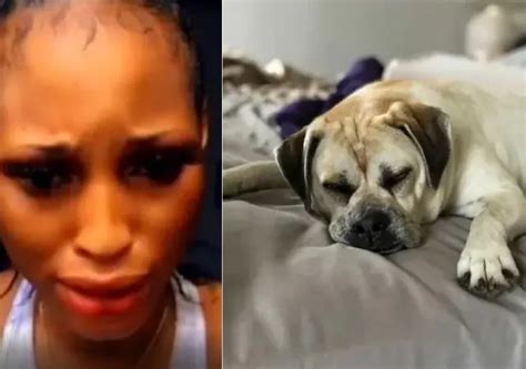 Sex With Dog: Lady seen in viral video makes U-turn, denies involvement ...